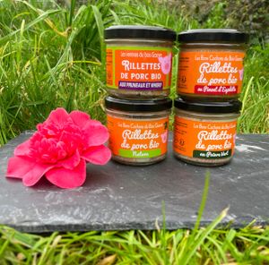 verrines and rillettes